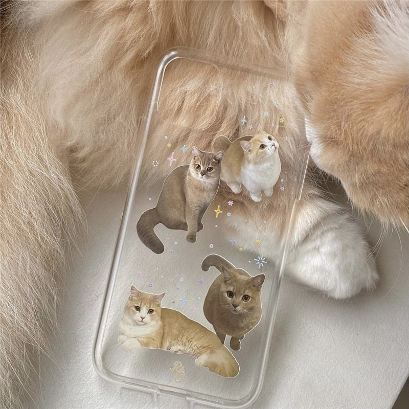 Custodia trasparente con simpatico gatto per iPhone 